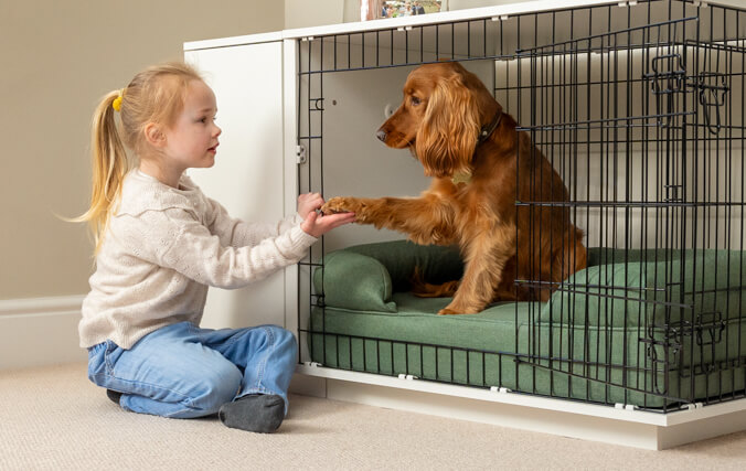 dziecko bawiące się z psem w klatce