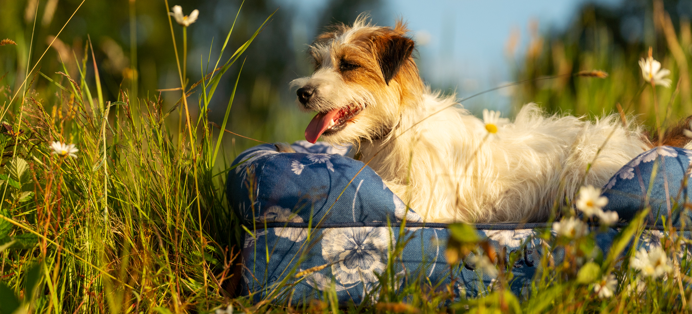  Terrier siedzący na legowisku z zagłówkiem Omlet z nadrukiem Gardenia Porcelain