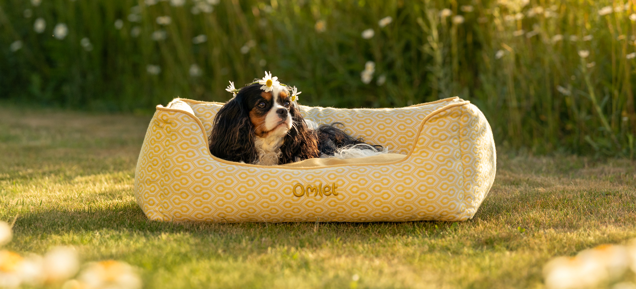 King Charles spaniel enjoying their time on the Omlet Nest dog bed in Honeycomb Pollen
