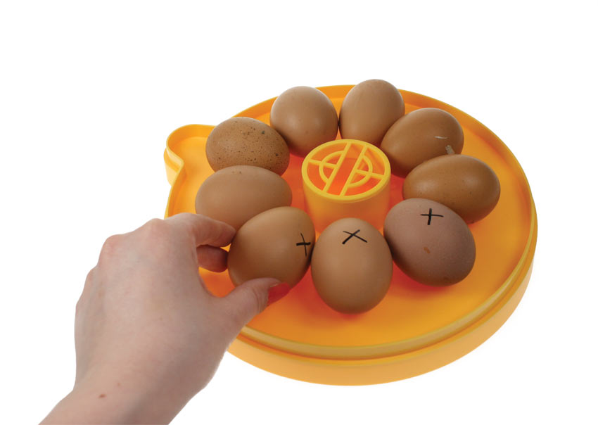 Odwracanie jaj w inkubatorze Brinsea Mini Eco Incubator, obracanie jaj