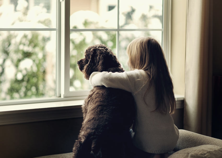 Pies wygląda przez okno razem z małą dziewczynką