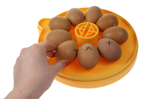 Obracanie jaj w inkubatorze Brinsea Mini Eco