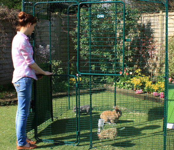 Wybieg Walk-In dla królików w wersji wysokiej Hi-Rise ma pełnowymiarowe stajenne drzwi, które pozwalają Ci wrzucić na wybieg smakołyki