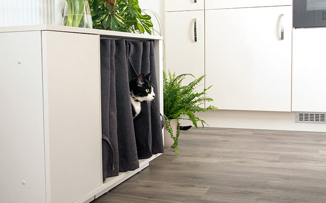 elegancki design Maya Nook ozdobi Twój dom, przy okazji dając kotu schronienie