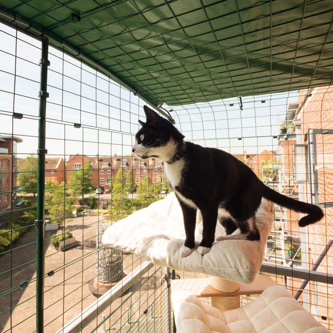 Kot odpoczywający w bezpiecznym kojcu na balkon od Omlet