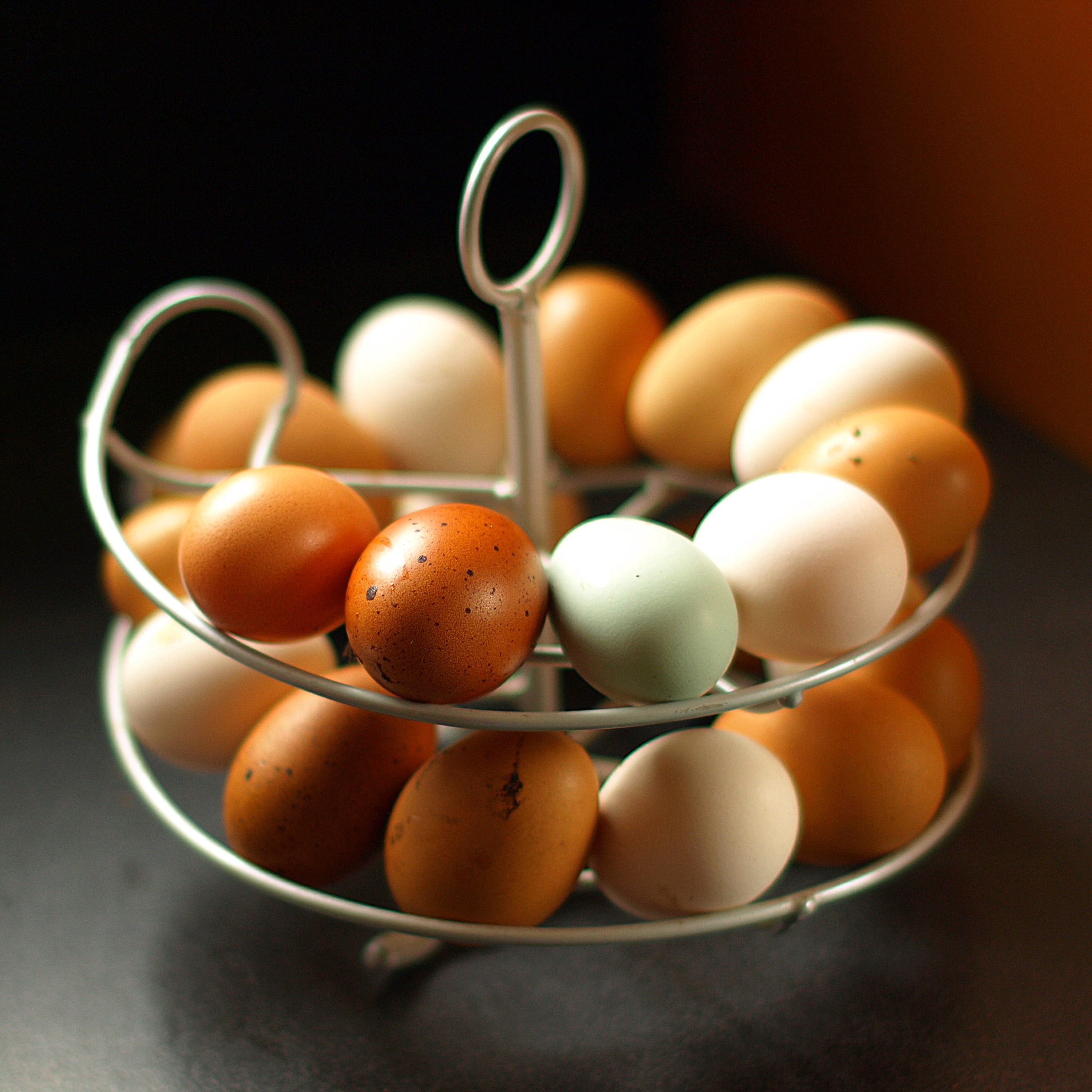 Stojak Omlet Egg Skelter pozwala Ci uszeregować jaja wedle daty złożenia