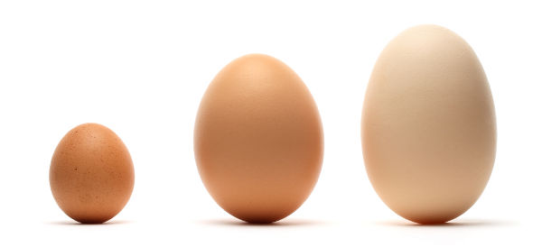 Małe, średnie i duże jajo