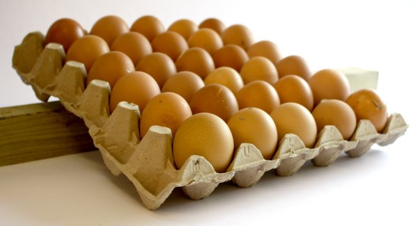 Przechowuj jaja w wytłoczce, a za pomocą kawałka drewna kołysz je codziennie z jednej strony na drugą
