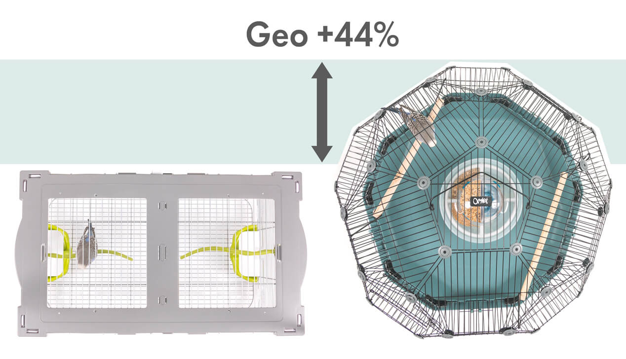 Zdjęcie pokazujące, że klatka dla ptaków Geo daje ptakom o 44% więcej miejsca na rozprostowanie skrzydeł niż tradycyjna klatka dla ptaków o porównywalnej szerokości