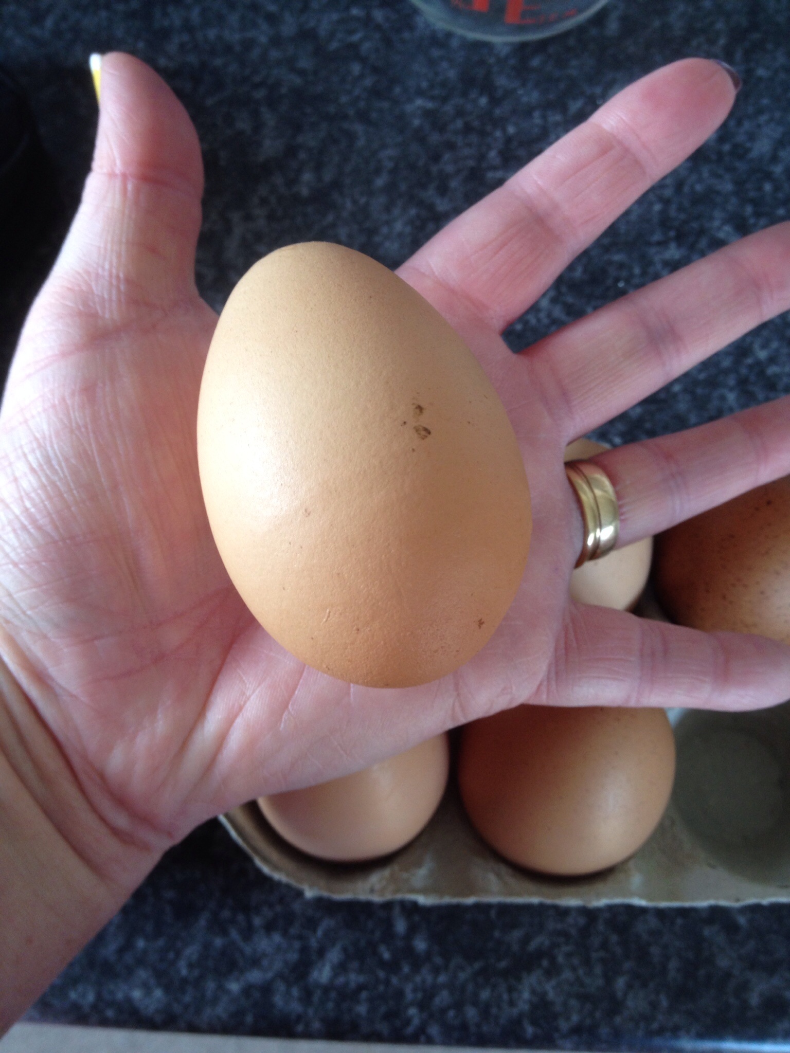 Tylko spójrzcie na rozmiar tych jaj, złożonych przez kury rasy Rhode Island Red
